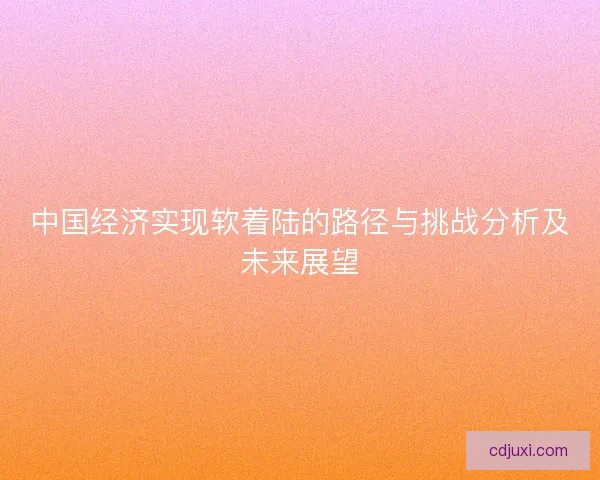 中国经济实现软着陆的路径与挑战分析及未来展望