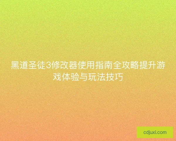 黑道圣徒3修改器使用指南全攻略提升游戏体验与玩法技巧